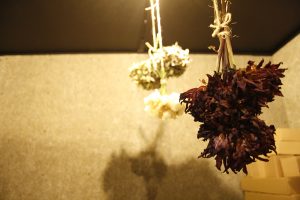 インテリアショップSOLID福岡の花の画像